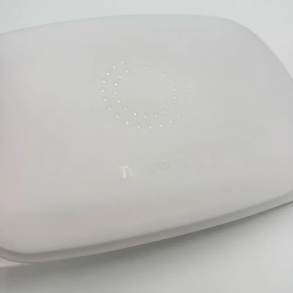 Tupperware Cheesmart Low Rectangle Plastic Storage